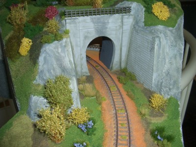 CIMG0312ff.jpg (545.52 KiB) 26077 mal betrachtet Tunnelmodul