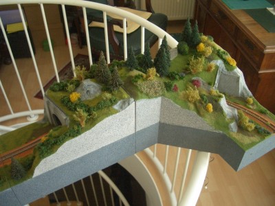 CIMG0317ff.jpg (546.55 KiB) 26068 mal betrachtet Beide Tunnelmodule