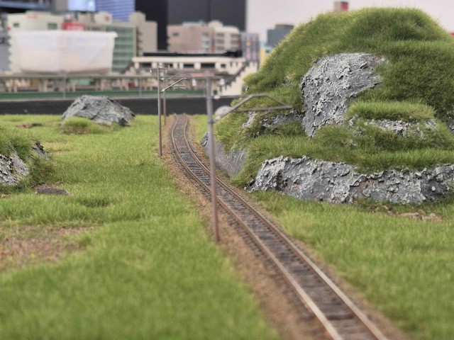 20260629_194513.jpg