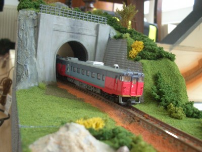 CIMG0239ff.jpg (531.54 KiB) 17696 mal betrachtet Series Kiha400-500 `Ozashiki`