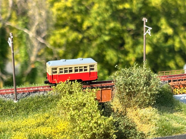 IMG_6492.jpg