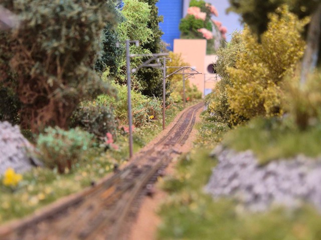 20260719_132455.jpg
