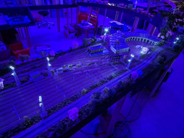 20260925_210730.jpg